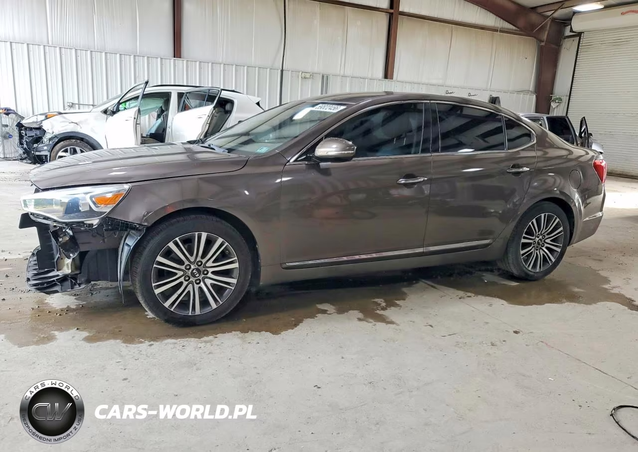 2014 Kia Cadenza Premium