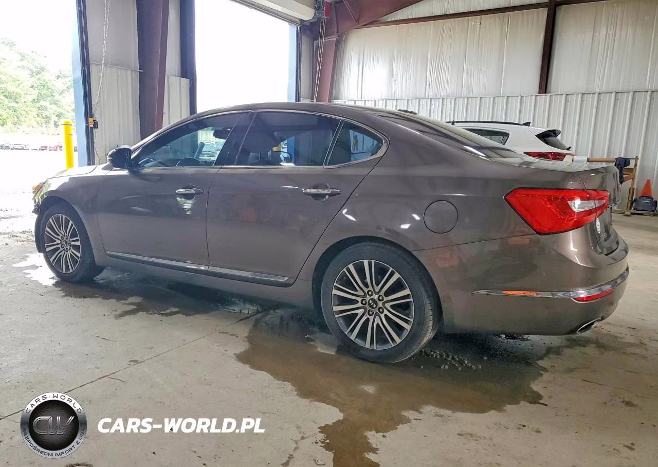 2014 Kia Cadenza Premium VIN:KNALN4D74E5153534 - 2
