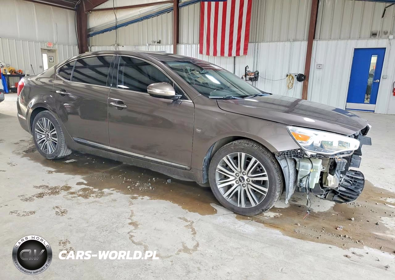2014 Kia Cadenza Premium VIN:KNALN4D74E5153534 - 4