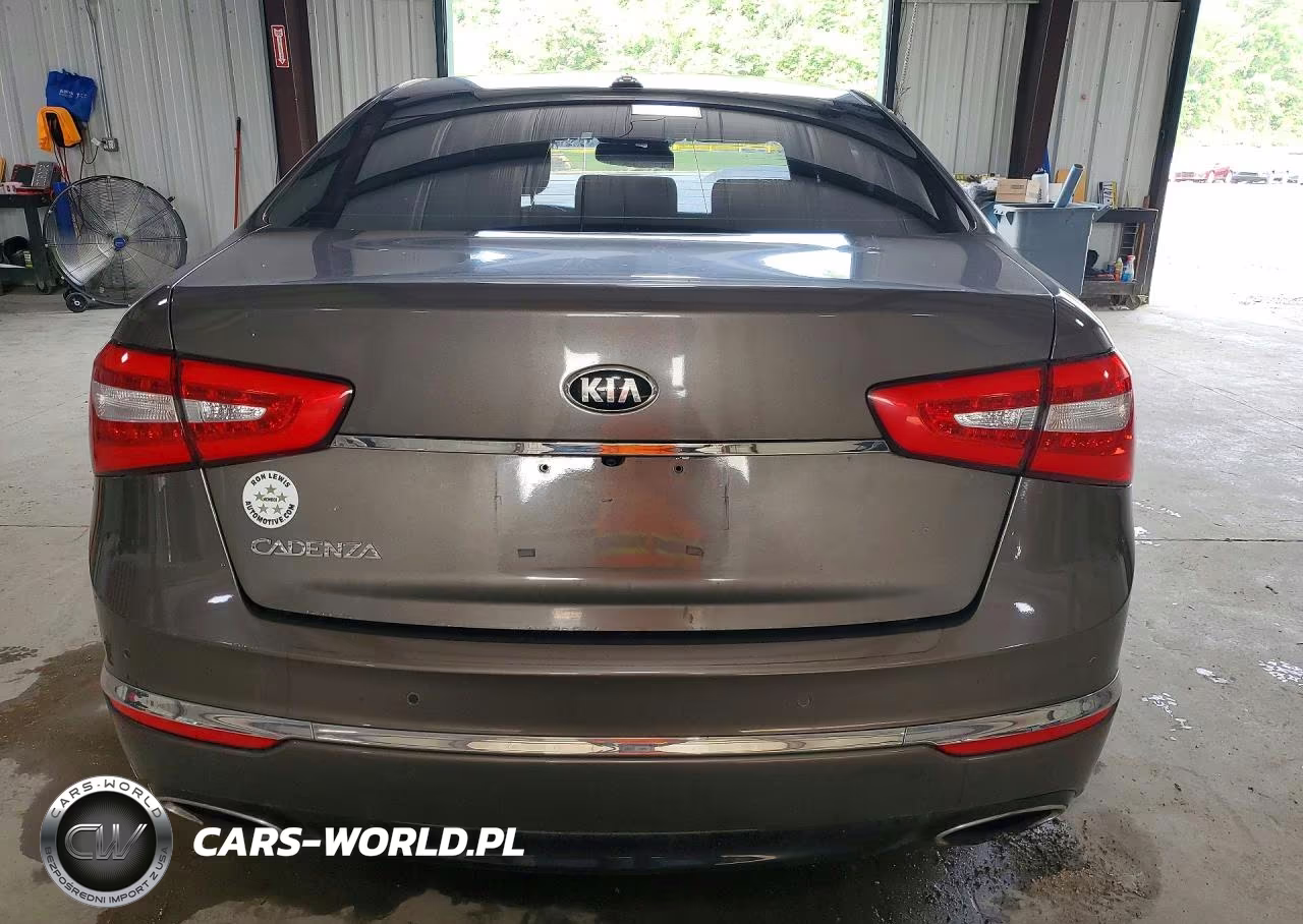 2014 Kia Cadenza Premium VIN:KNALN4D74E5153534 - 6