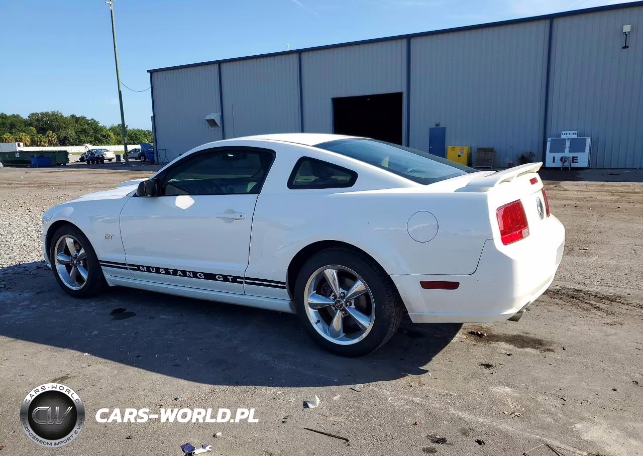 2008 Ford Mustang Gt VIN:1ZVHT82H585188988 - 2