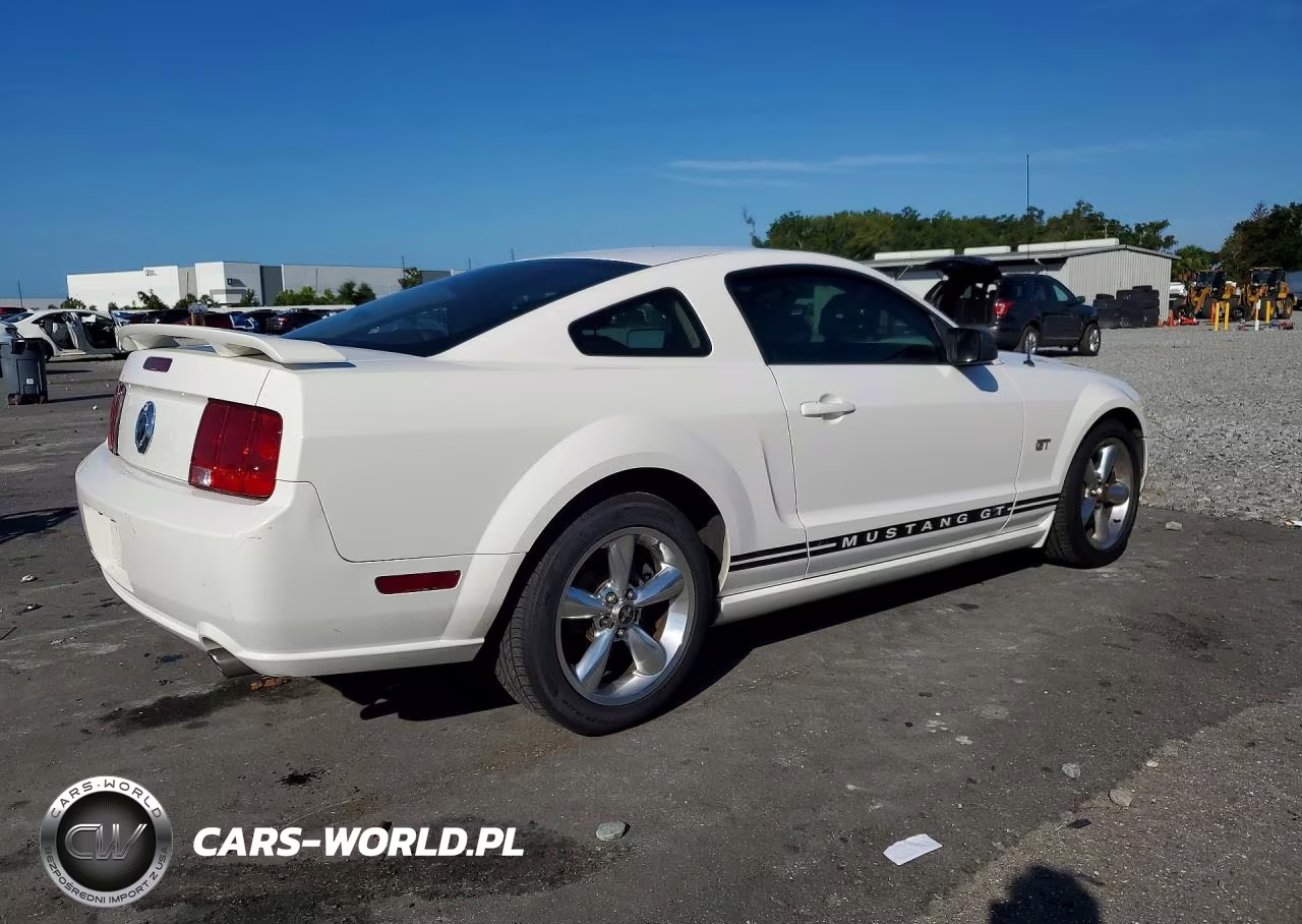 2008 Ford Mustang Gt VIN:1ZVHT82H585188988 - 3