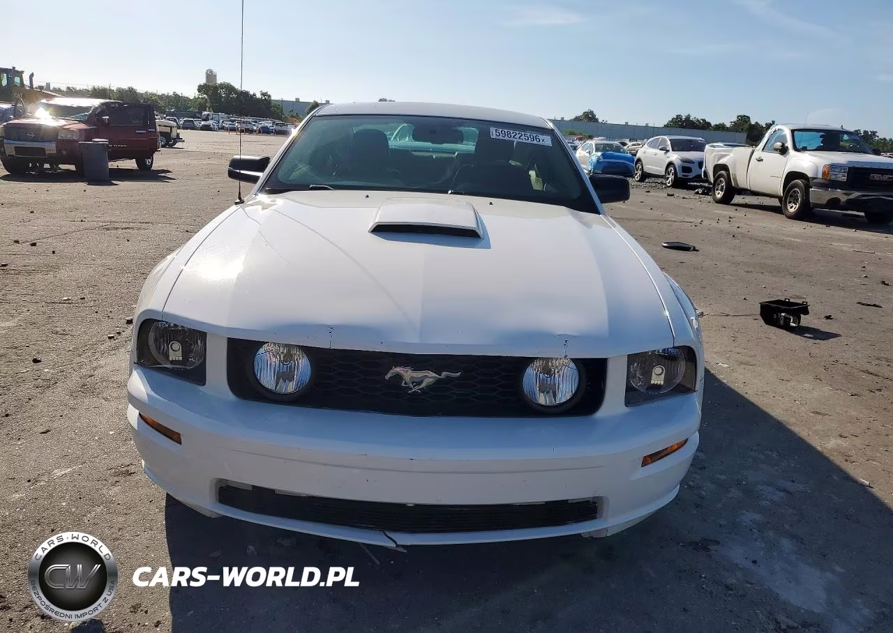 2008 Ford Mustang Gt VIN:1ZVHT82H585188988 - 5