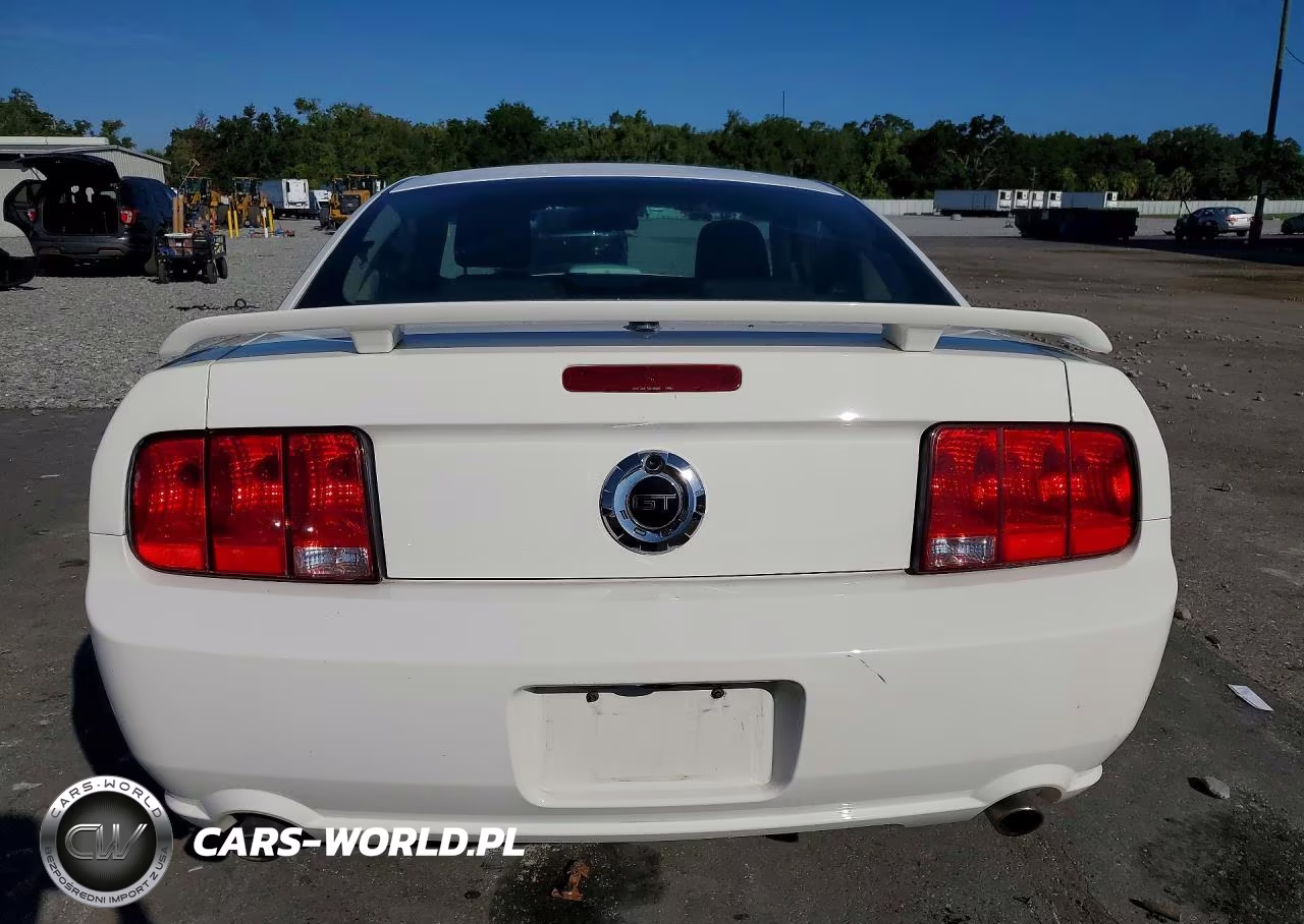 2008 Ford Mustang Gt VIN:1ZVHT82H585188988 - 6