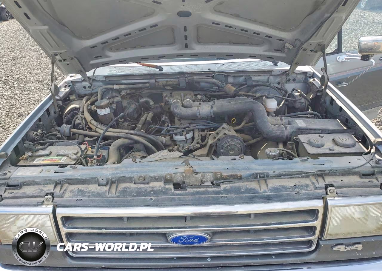 1989 Ford F250 VIN:1FTHX26G6KKA96464 - 11
