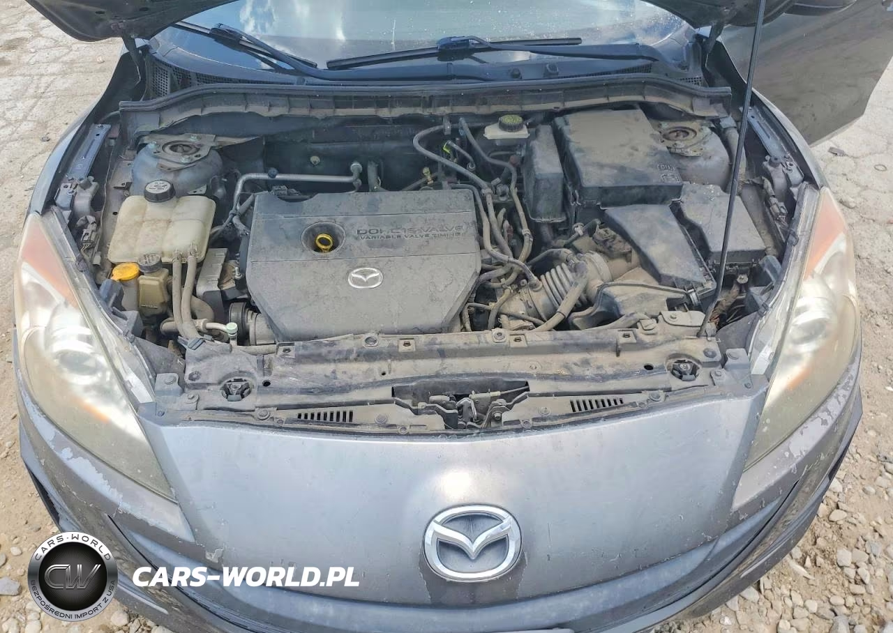 2010 Mazda 3 I VIN:JM1BL1SG9A1324561 - 11