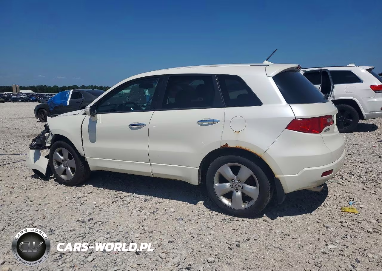 2009 Acura Rdx VIN:5J8TB18289A801450 - 2