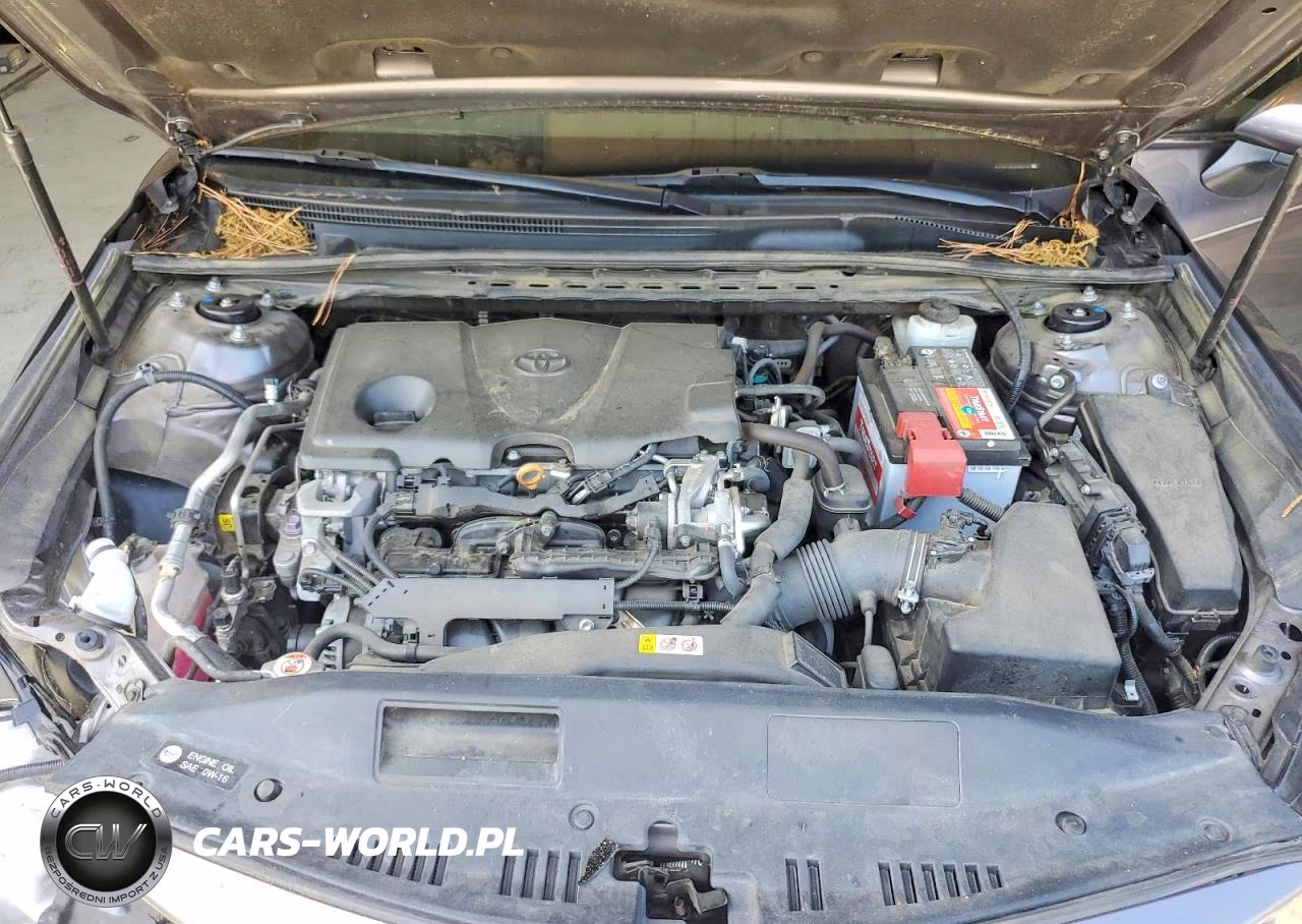 2019 Toyota Camry Se VIN:4T1B11HK3KU834126 - 11