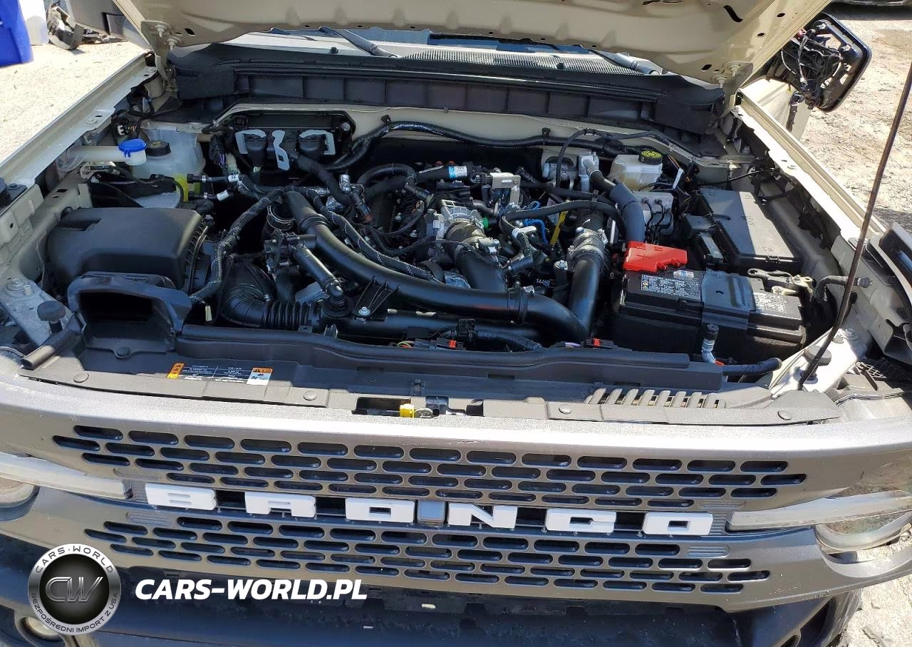 2025 Ford Bronco Badlands VIN:1FMEE9BPXSLA47667 - 12