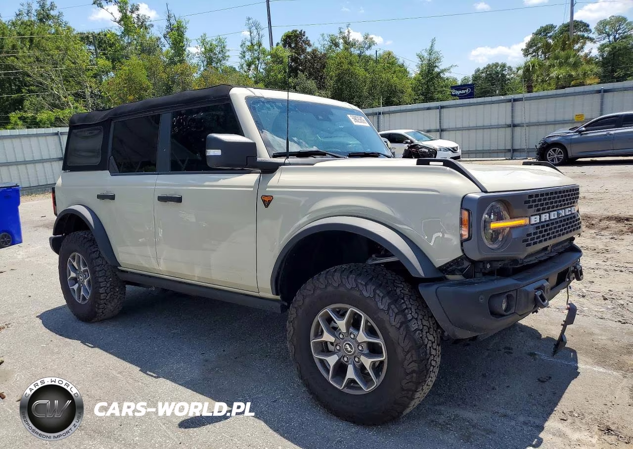 2025 Ford Bronco Badlands VIN:1FMEE9BPXSLA47667 - 4
