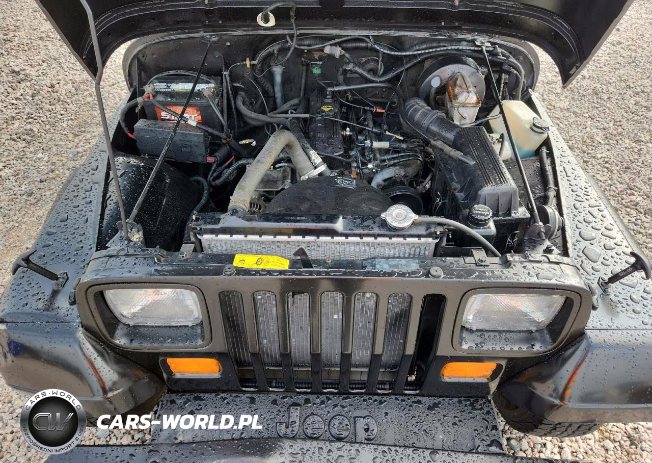 1993 Jeep Wrangler - Yj S VIN:1J4FY19P2PP263949 - 11