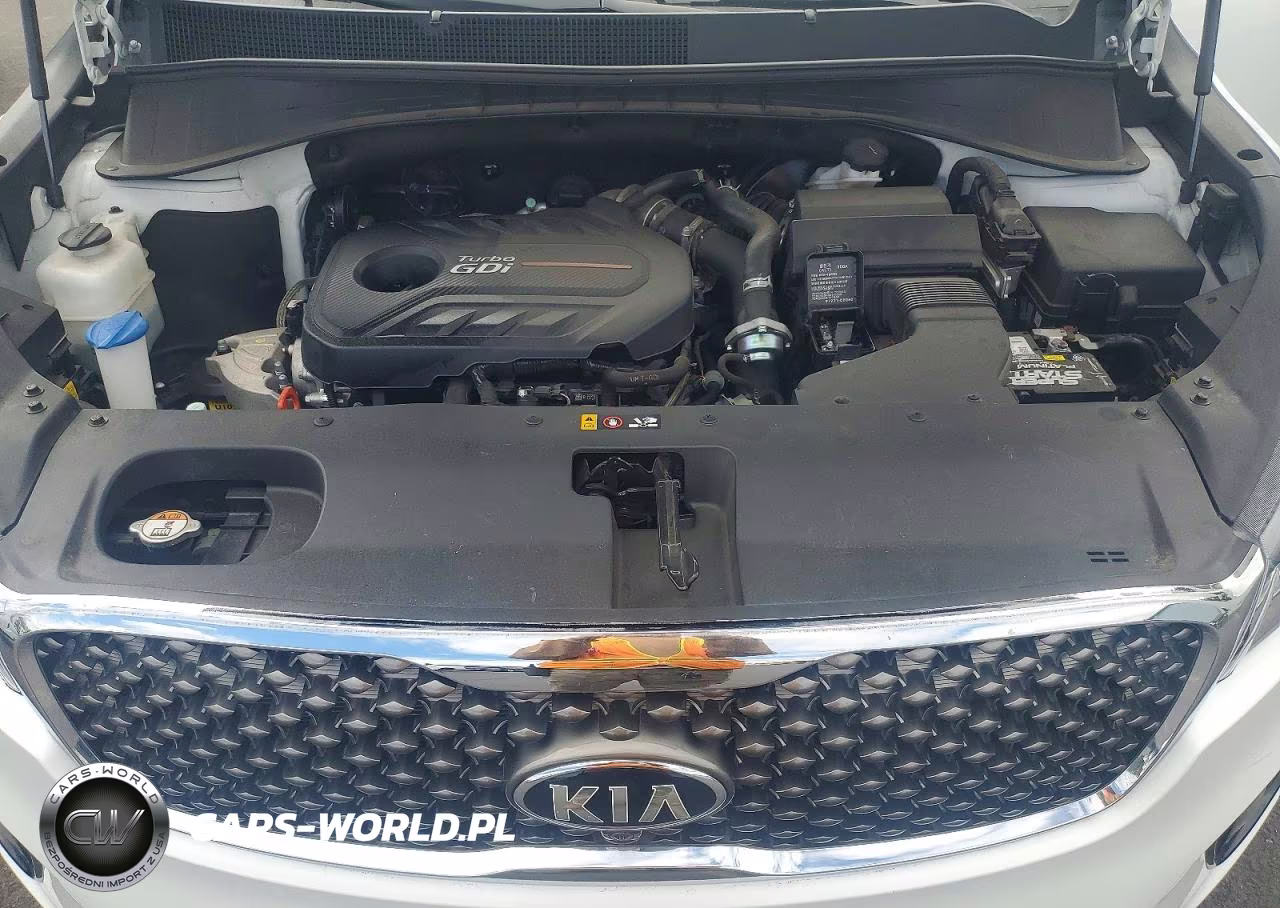 2016 Kia Sorento Sx Limited VIN:5XYPK4A14GG014172 - 11