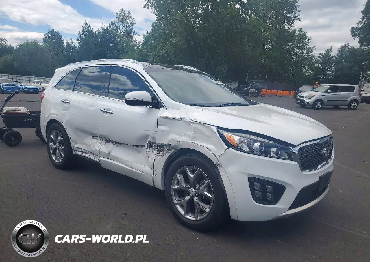 2016 Kia Sorento Sx Limited VIN:5XYPK4A14GG014172 - 4