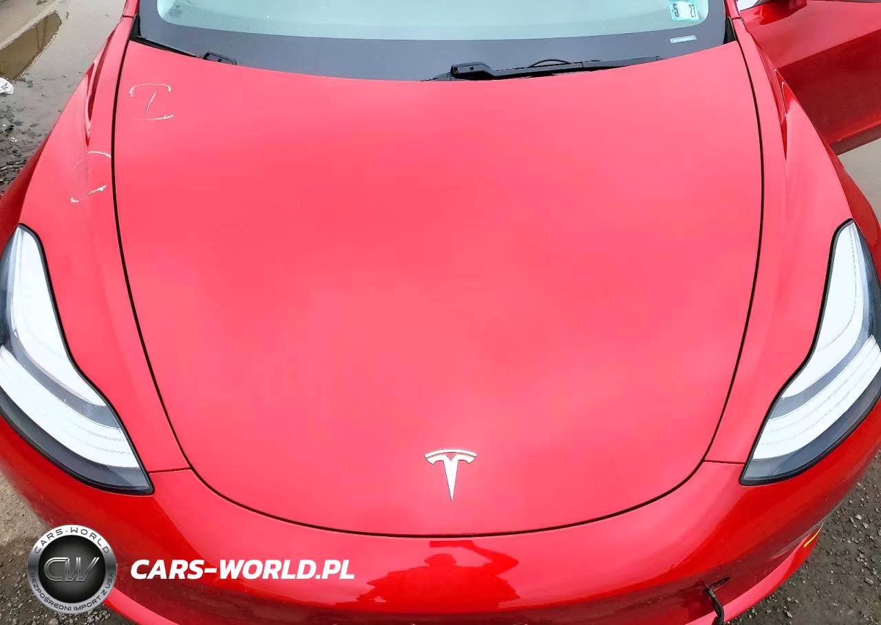 2020 Tesla Model 3 VIN:5YJ3E1EB0LF600361 - 11