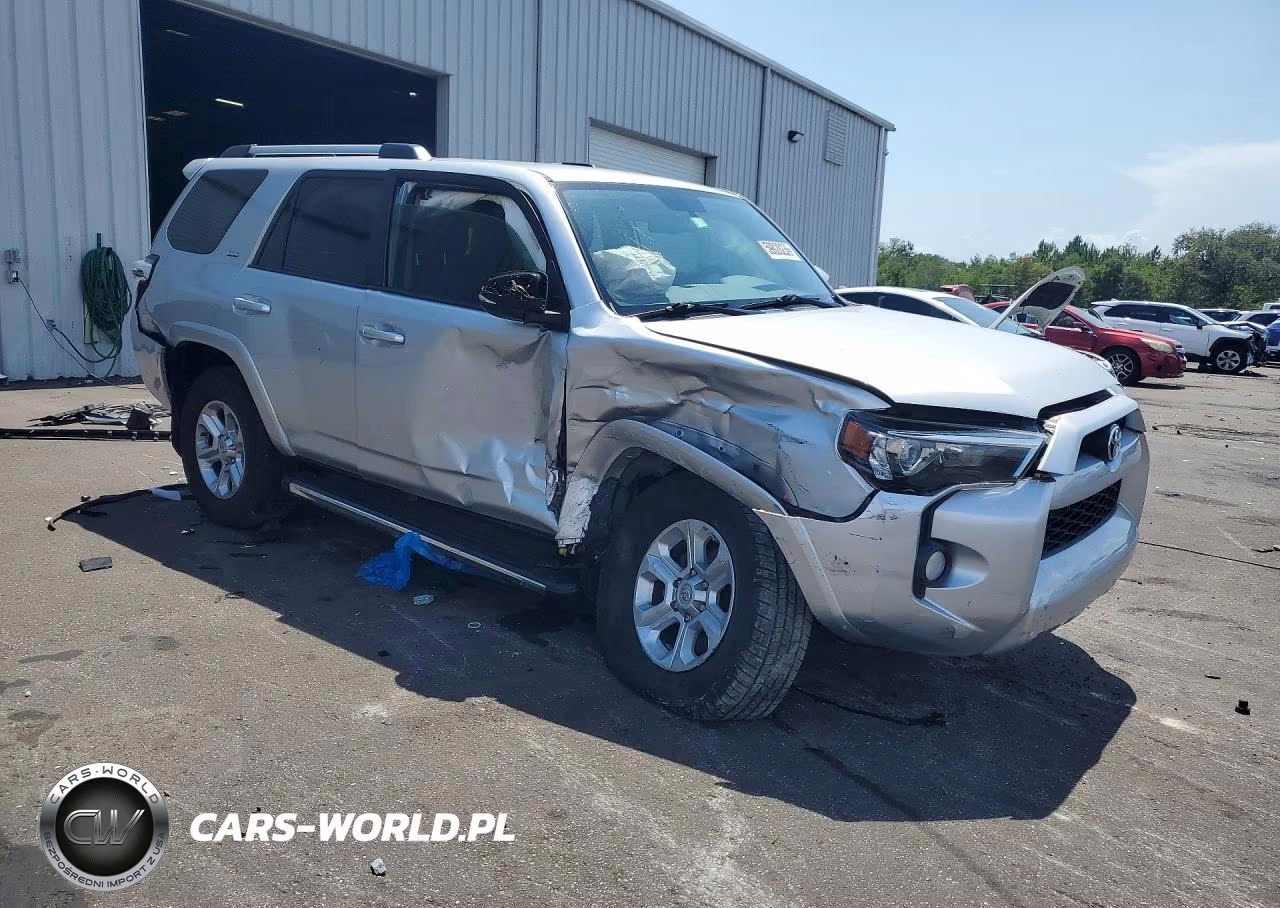 2019 Toyota 4Runner Sr5 Premium VIN:JTEZU5JR2K5207254 - 4