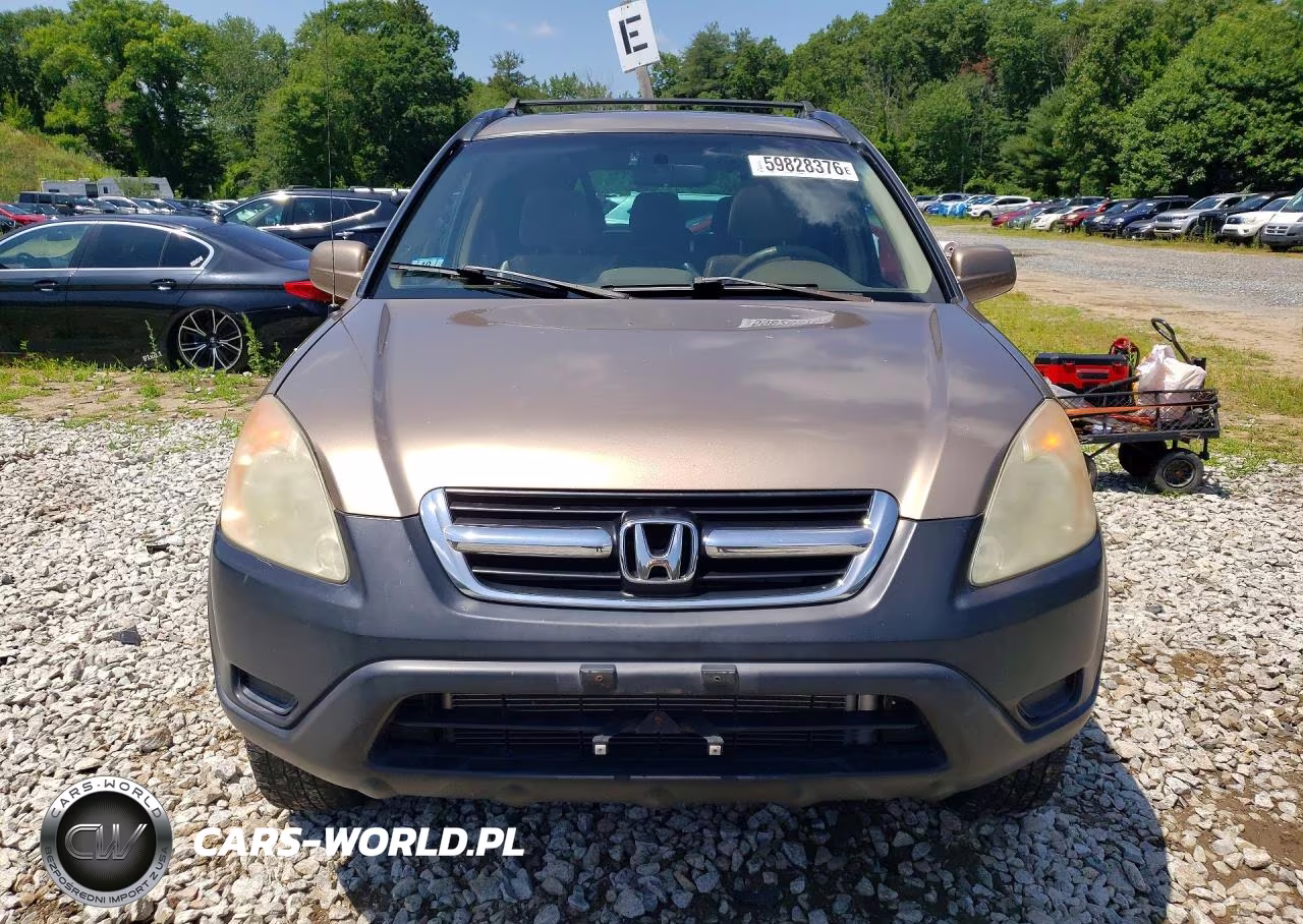 2003 Honda Cr-V Ex VIN:SHSRD78813U144024 - 5