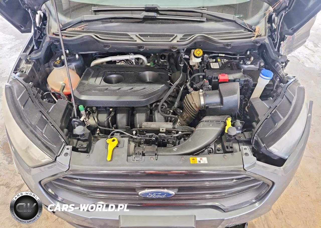 2018 Ford Ecosport S VIN:MAJ6P1SL0JC222837 - 11