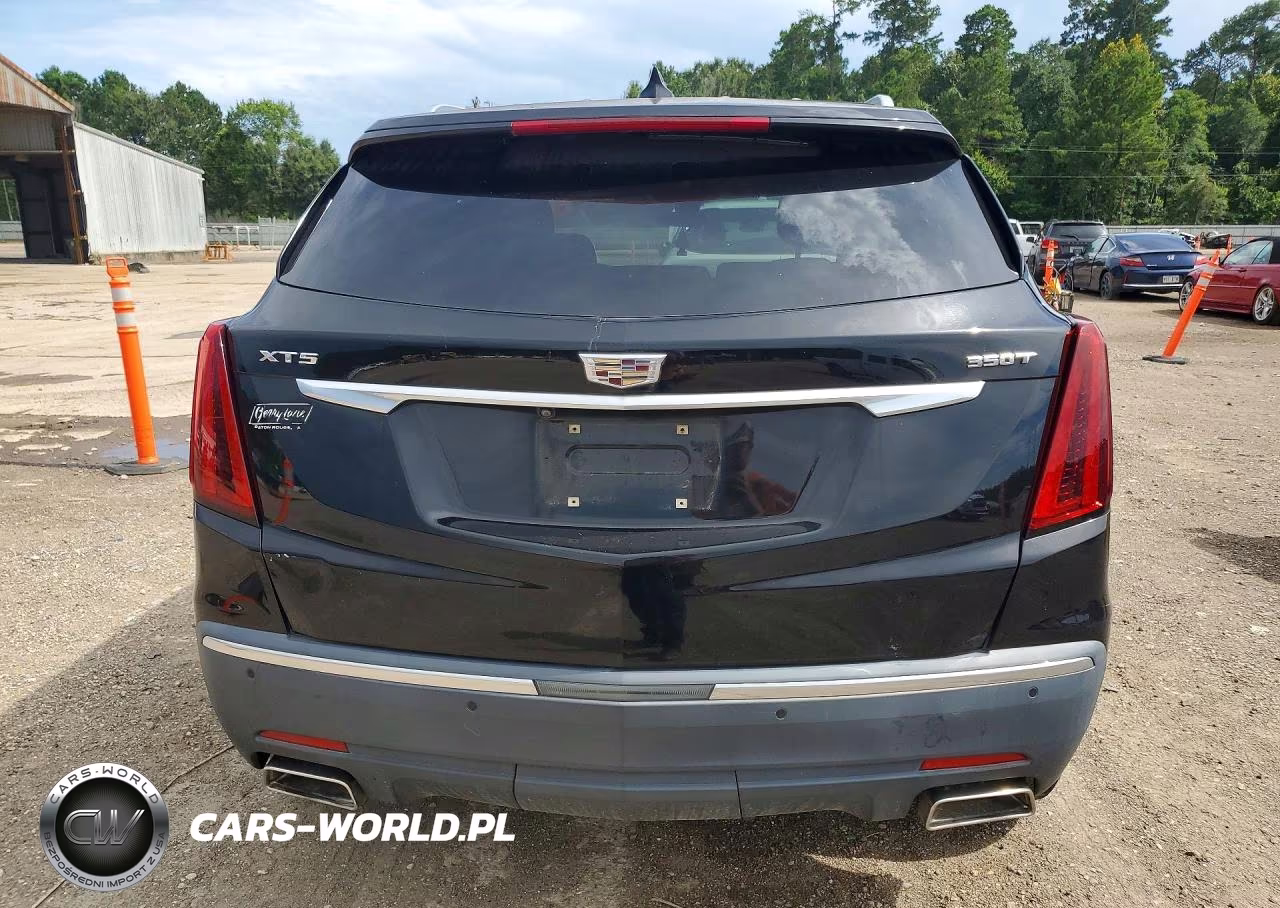 2021 Cadillac Xt5 Luxury VIN:1GYKNAR49MZ166339 - 6