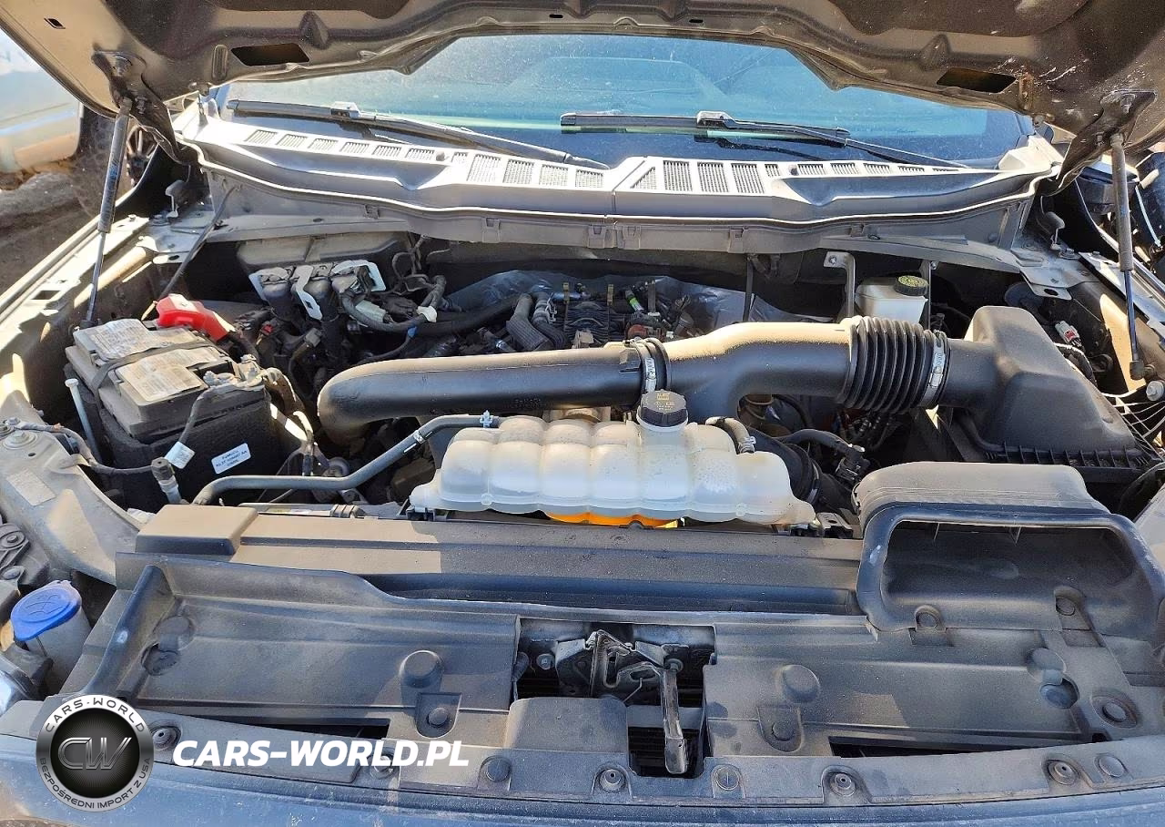 2021 Ford F150 Supercrew VIN:1FTFW1E81MFA18037 - 11