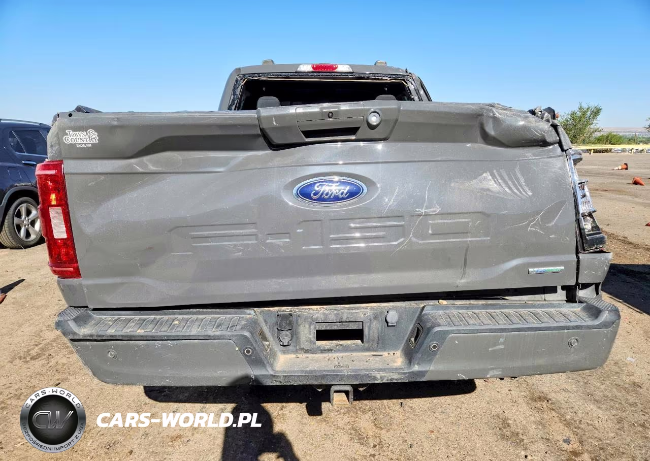 2021 Ford F150 Supercrew VIN:1FTFW1E81MFA18037 - 6