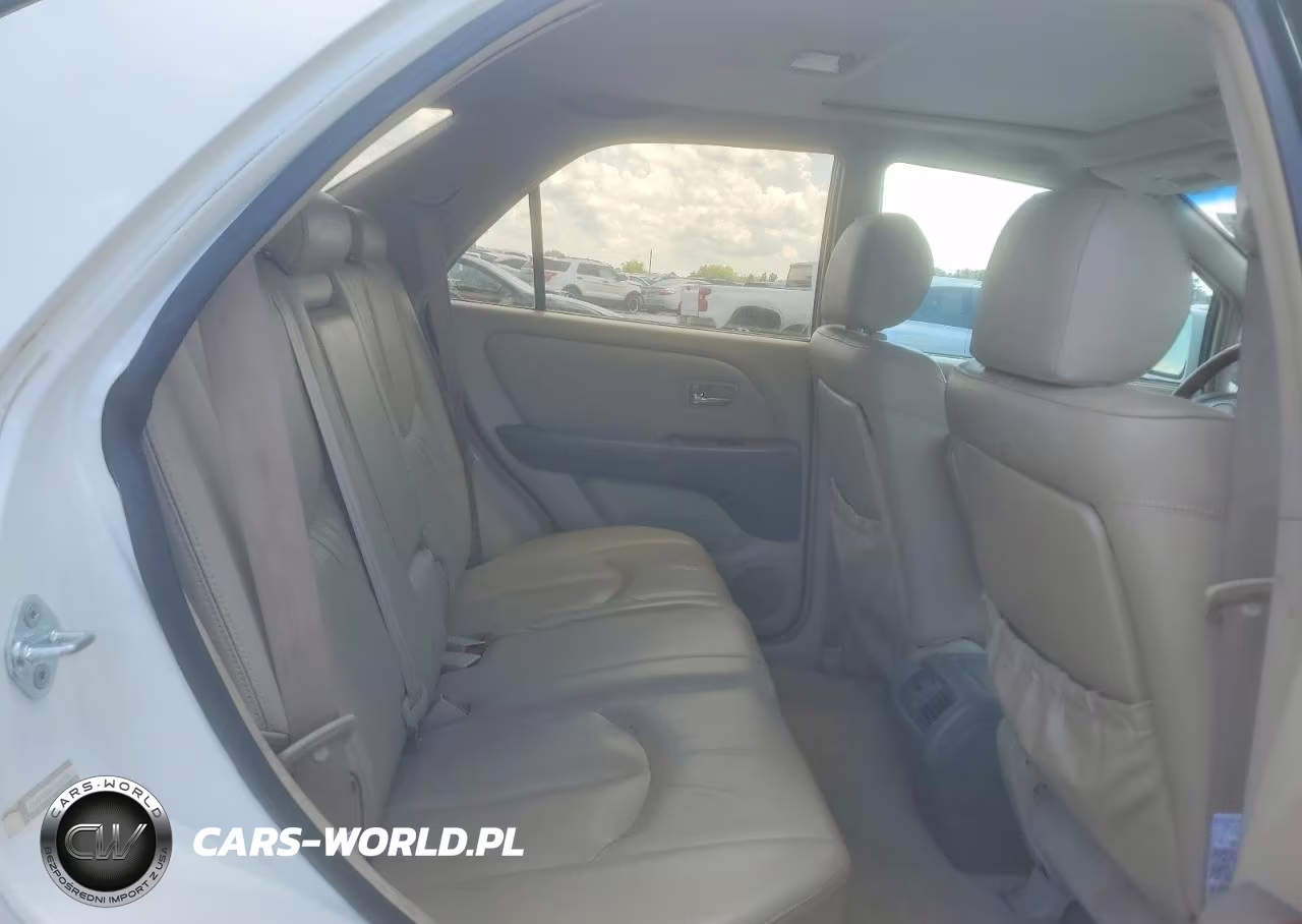 2001 Lexus Rx 300 VIN:JTJHF10U910166381 - 11