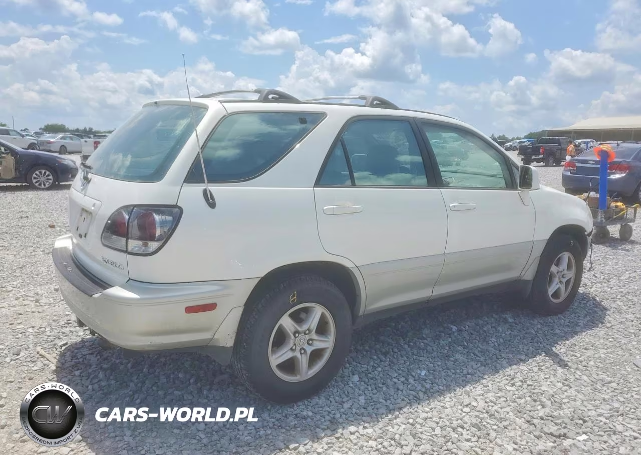 2001 Lexus Rx 300 VIN:JTJHF10U910166381 - 3