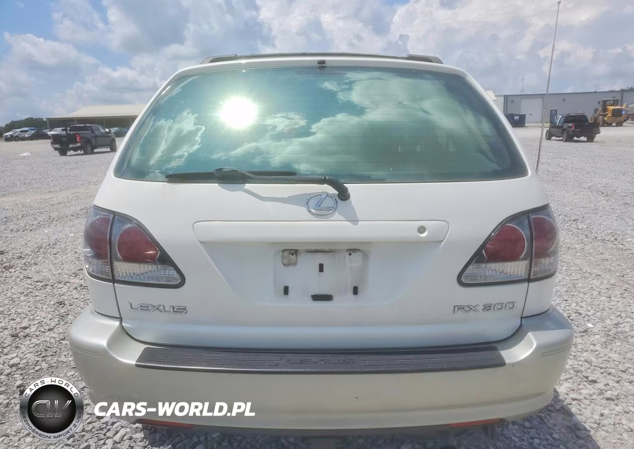 2001 Lexus Rx 300 VIN:JTJHF10U910166381 - 6