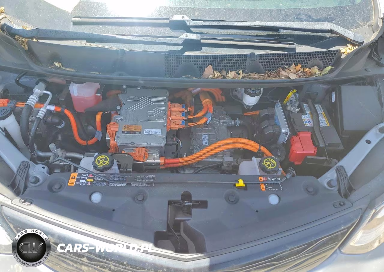 2021 Chevrolet Bolt Ev Premier VIN:1G1FZ6S0XM4112974 - 11