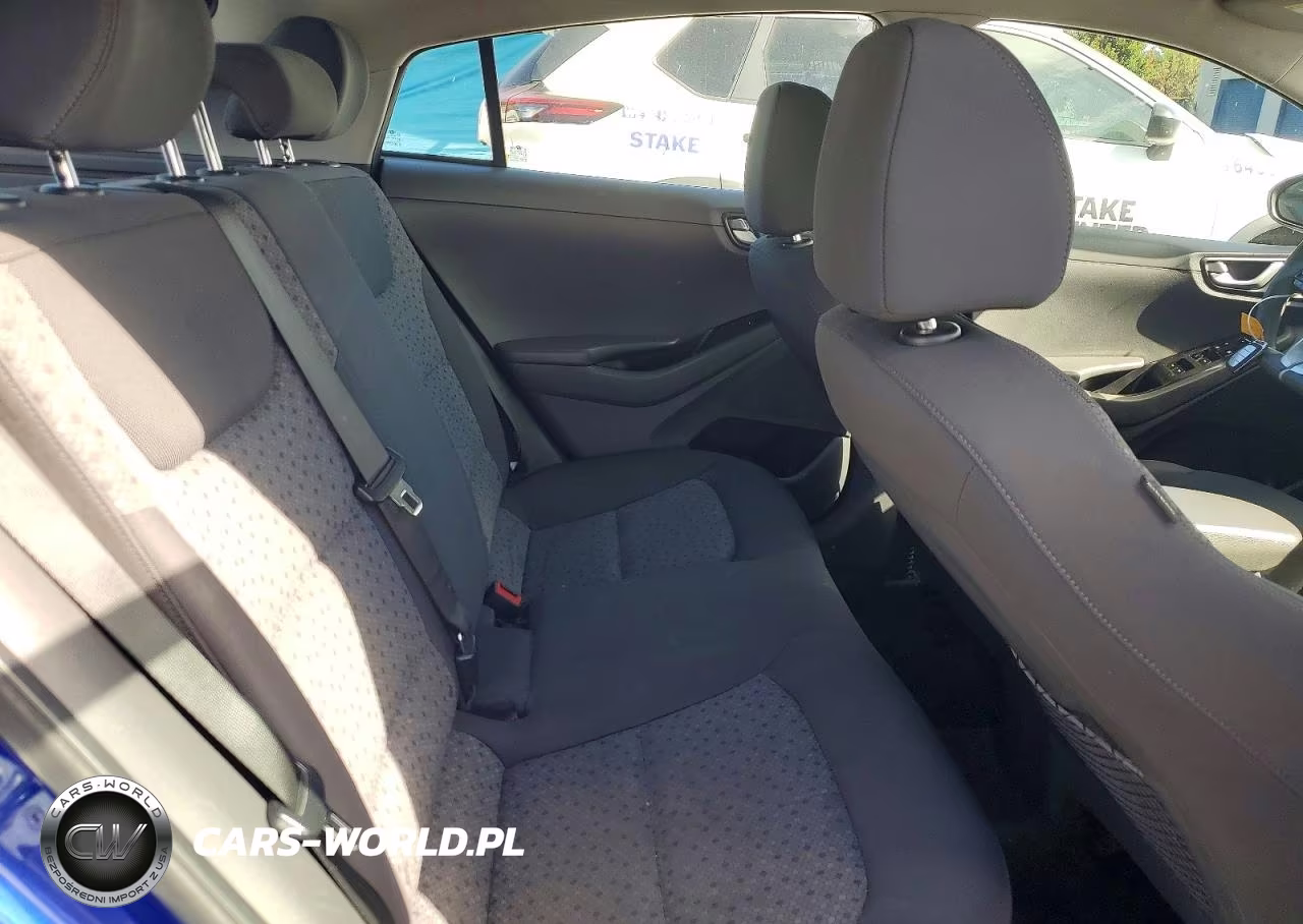 2019 Hyundai Ioniq Blue VIN:KMHC65LC6KU176492 - 10