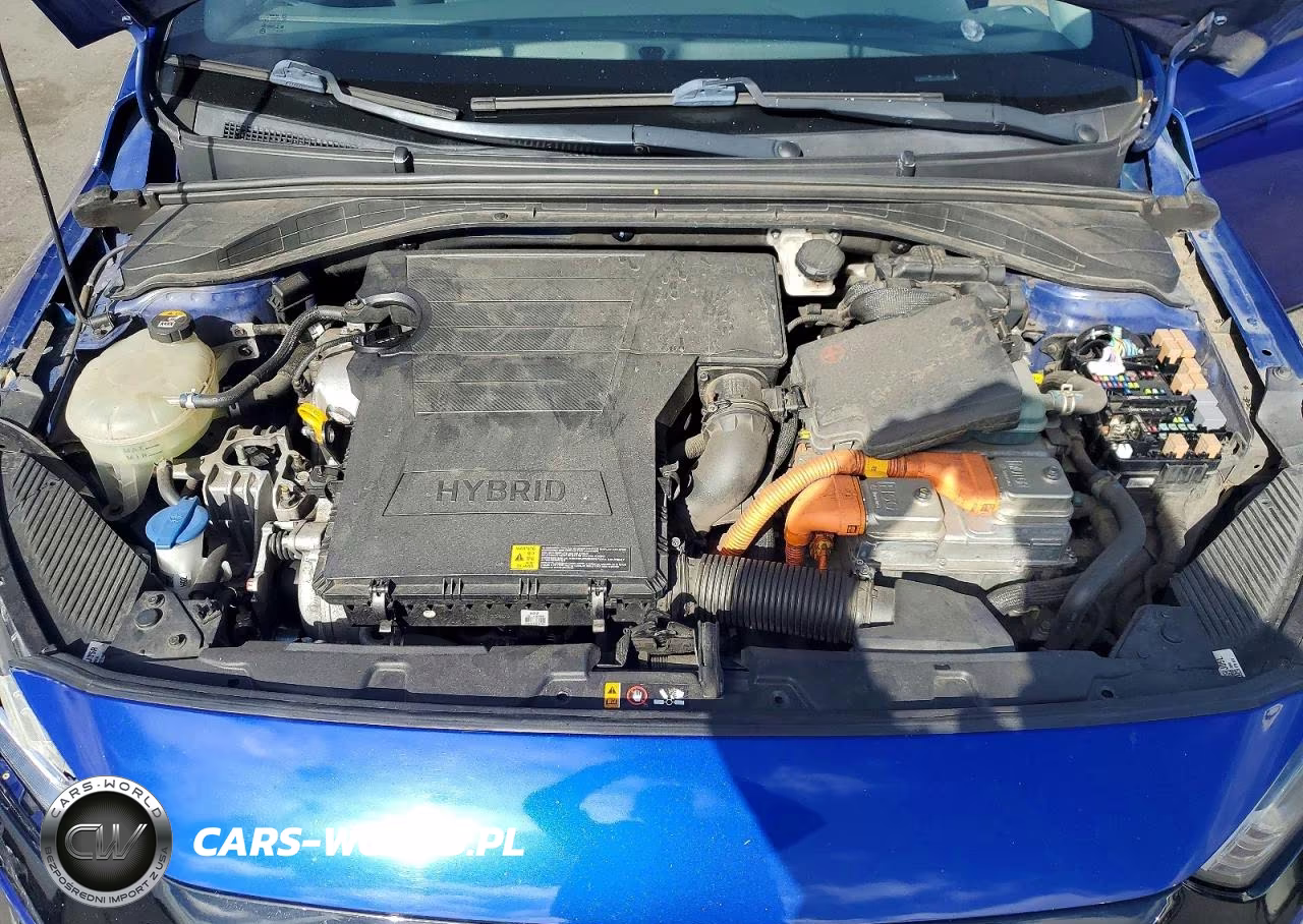 2019 Hyundai Ioniq Blue VIN:KMHC65LC6KU176492 - 11