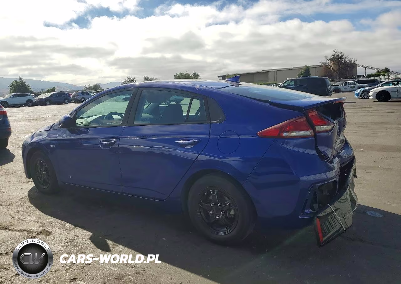 2019 Hyundai Ioniq Blue VIN:KMHC65LC6KU176492 - 2