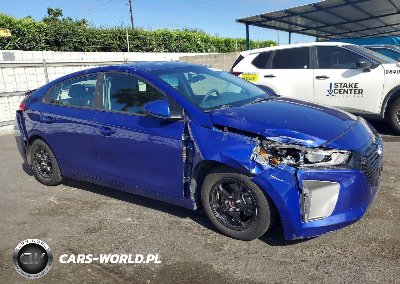 2019 Hyundai Ioniq Blue VIN:KMHC65LC6KU176492 - 4