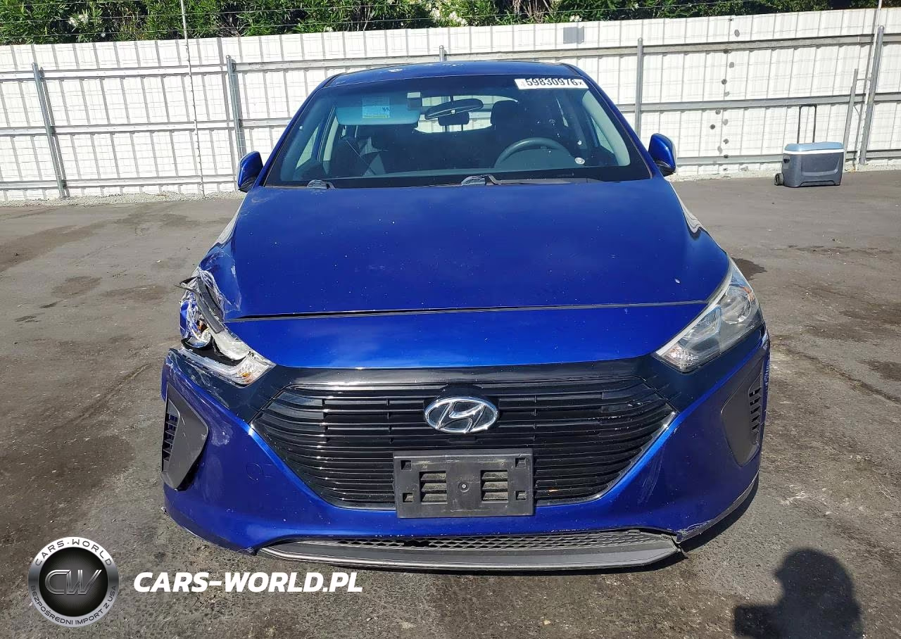 2019 Hyundai Ioniq Blue VIN:KMHC65LC6KU176492 - 5