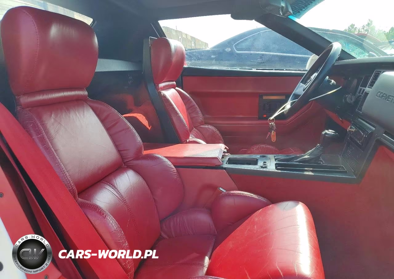 1989 Chevrolet Corvette VIN:1G1YY3186K5117677 - 10