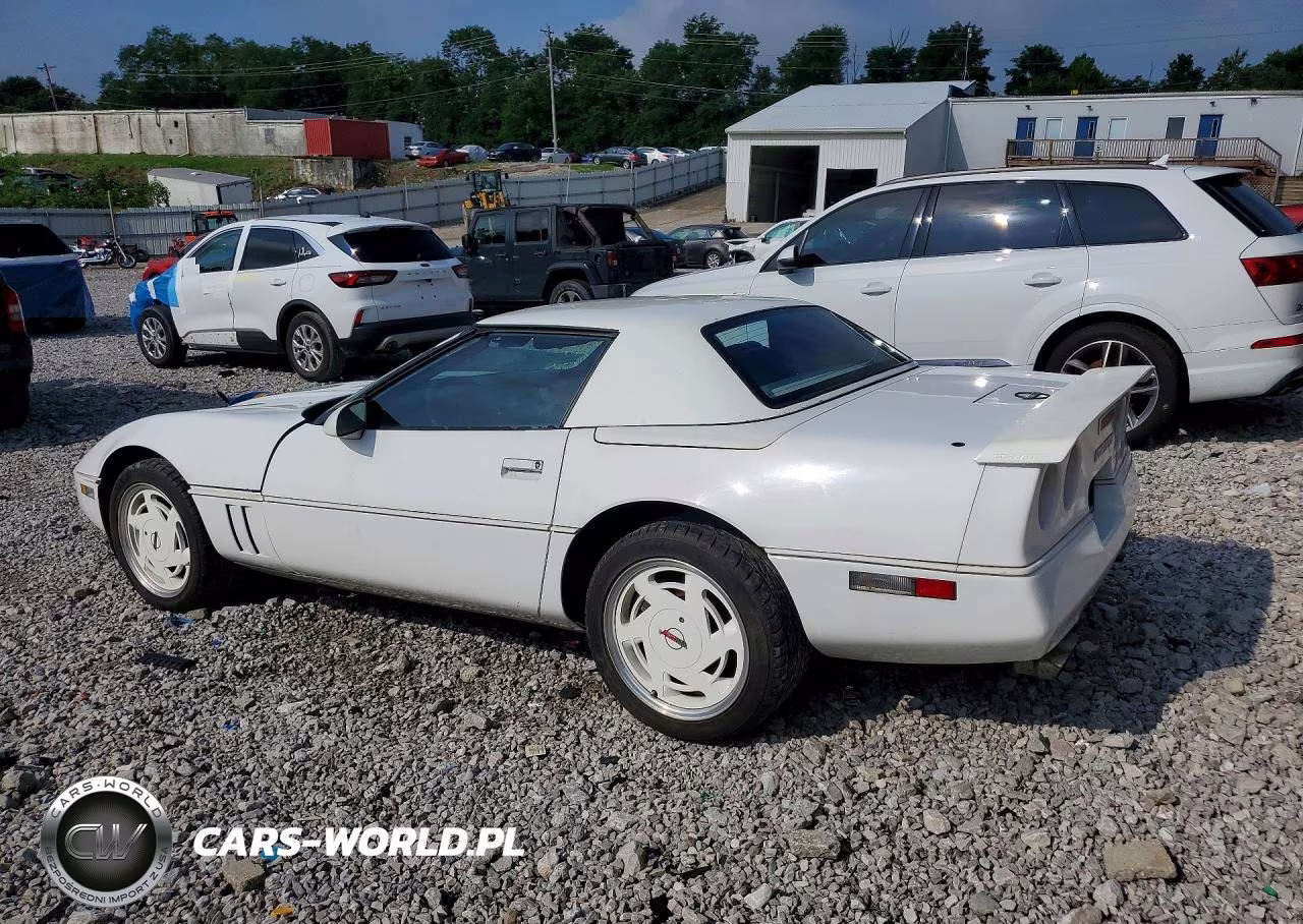 1989 Chevrolet Corvette VIN:1G1YY3186K5117677 - 2