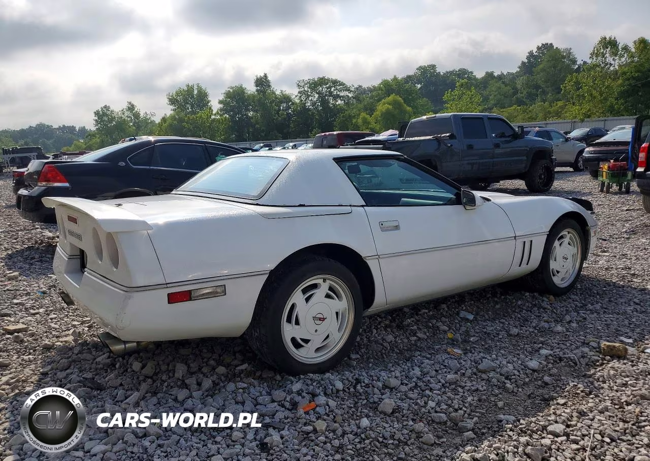 1989 Chevrolet Corvette VIN:1G1YY3186K5117677 - 3