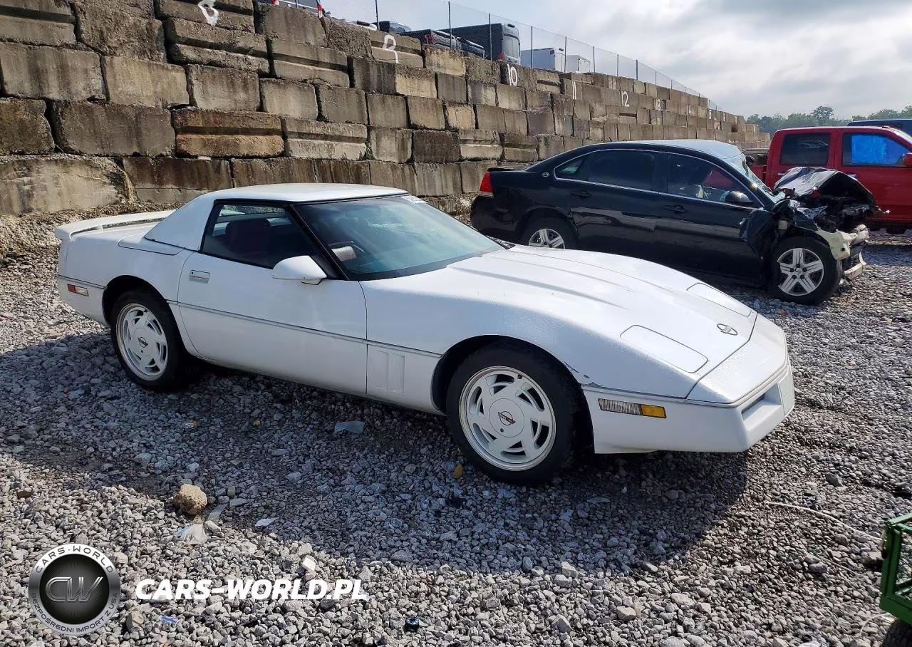 1989 Chevrolet Corvette VIN:1G1YY3186K5117677 - 4