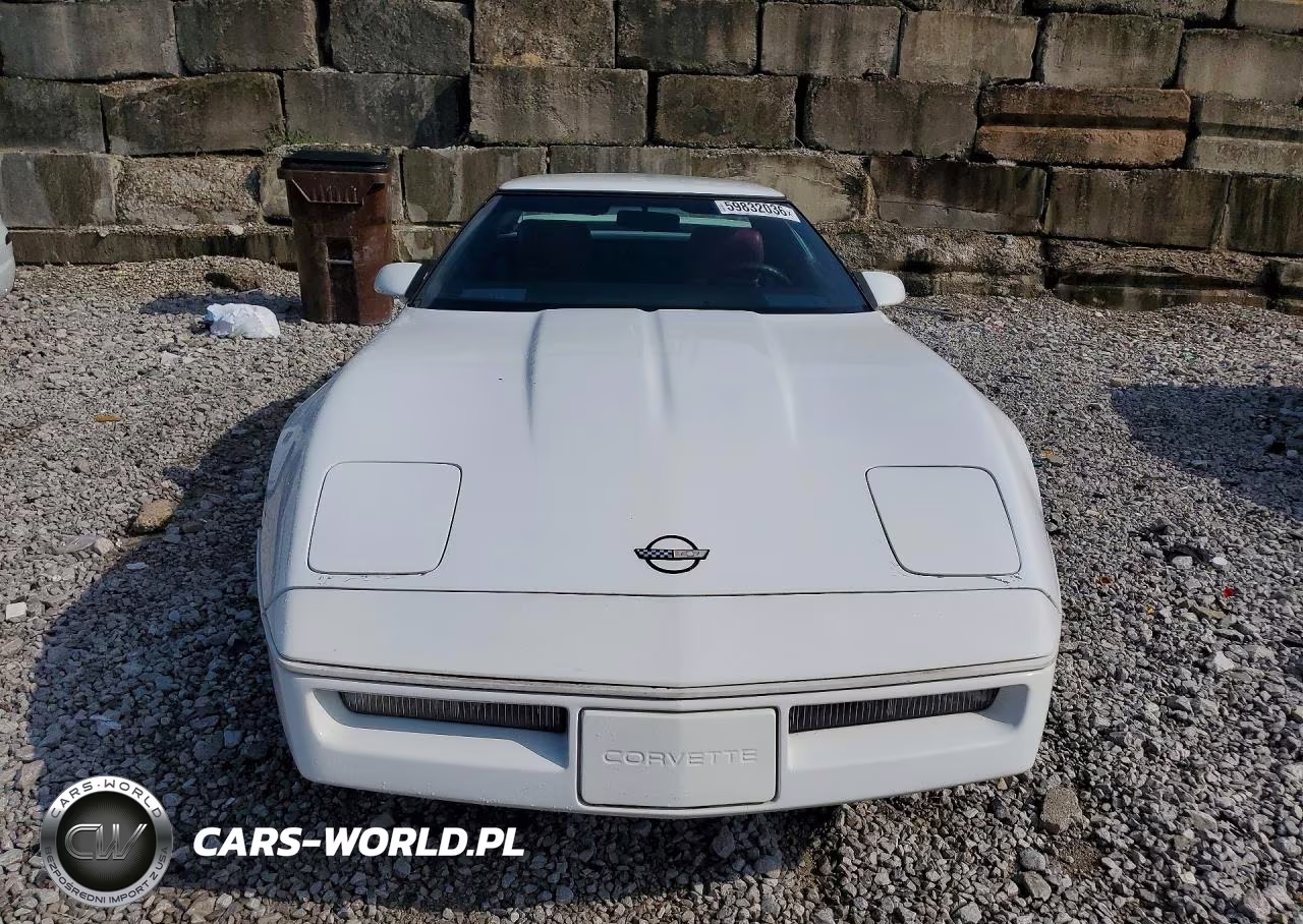 1989 Chevrolet Corvette VIN:1G1YY3186K5117677 - 5