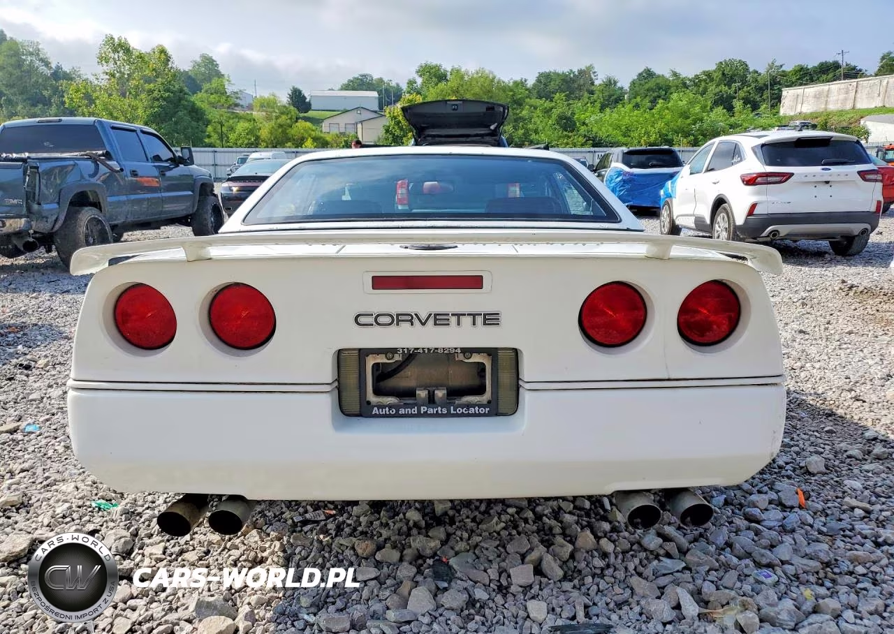 1989 Chevrolet Corvette VIN:1G1YY3186K5117677 - 6