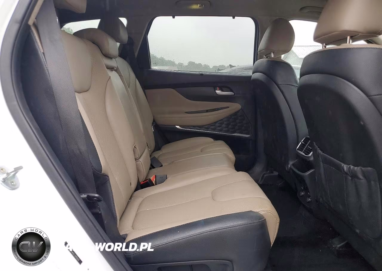 2020 Hyundai Santa Fe Sel 2.0T VIN:5NMS3CAA2LH299679 - 11