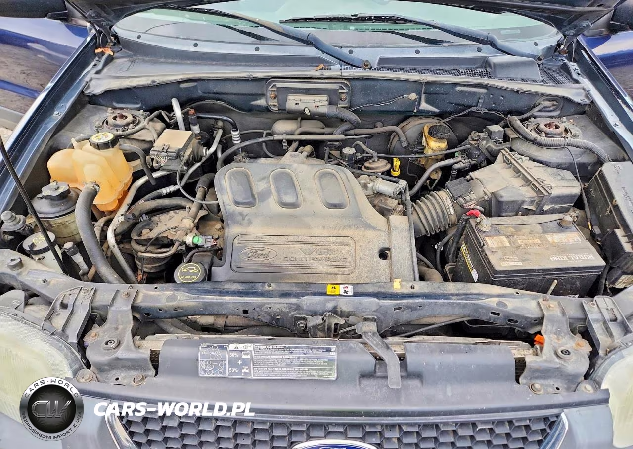 2004 Ford Escape Xlt VIN:1FMYU93164DA11384 - 12