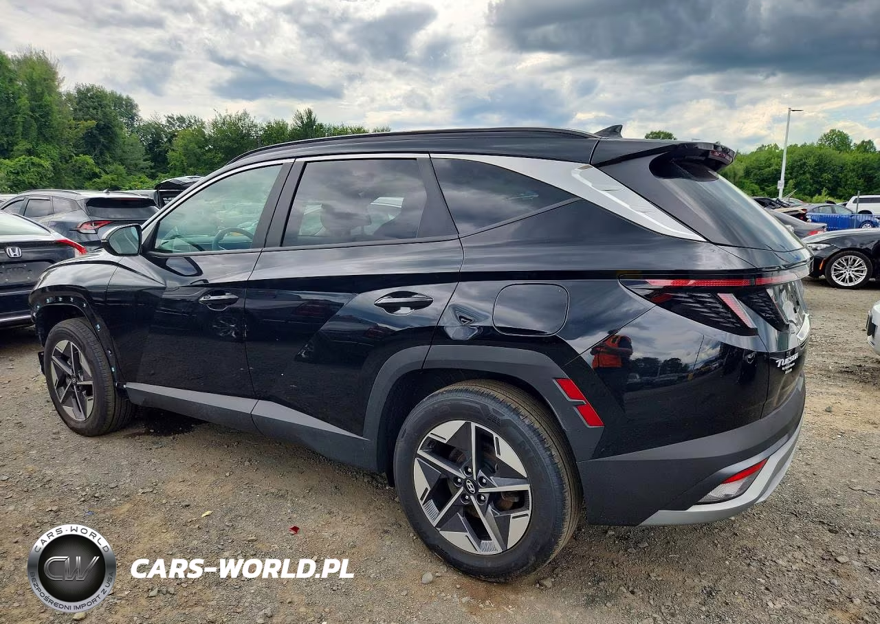 2025 Hyundai Tucson Sel Convenience VIN:KM8JCDD17SU254205 - 2