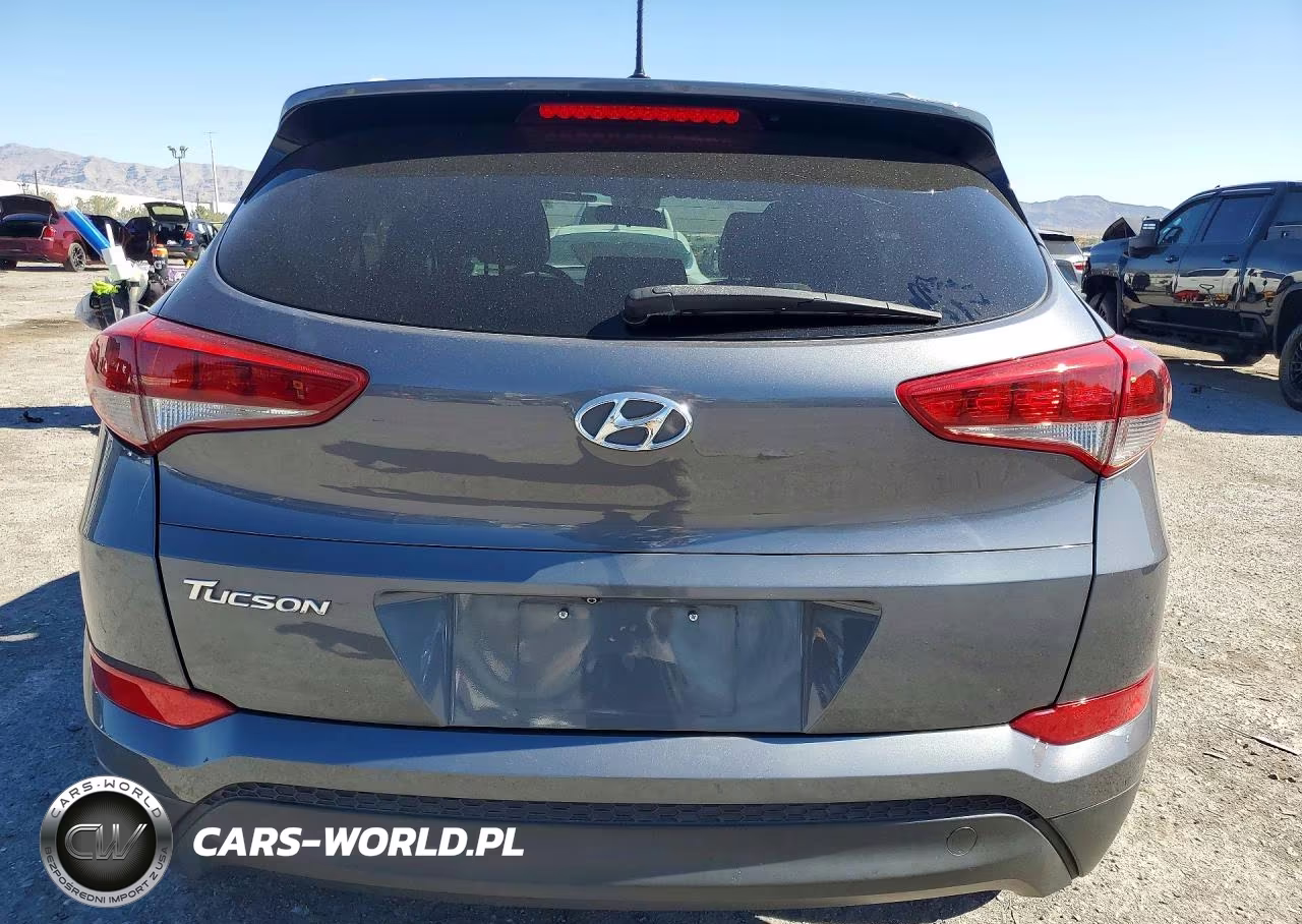 2016 Hyundai Tucson Se VIN:KM8J33A47GU178131 - 6