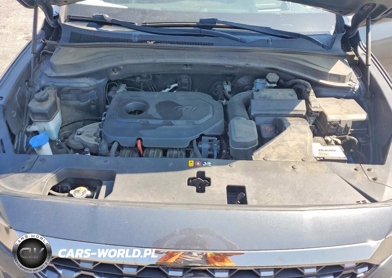 2020 Hyundai Santa Fe Limited VIN:5NMS5CADXLH257667 - 12