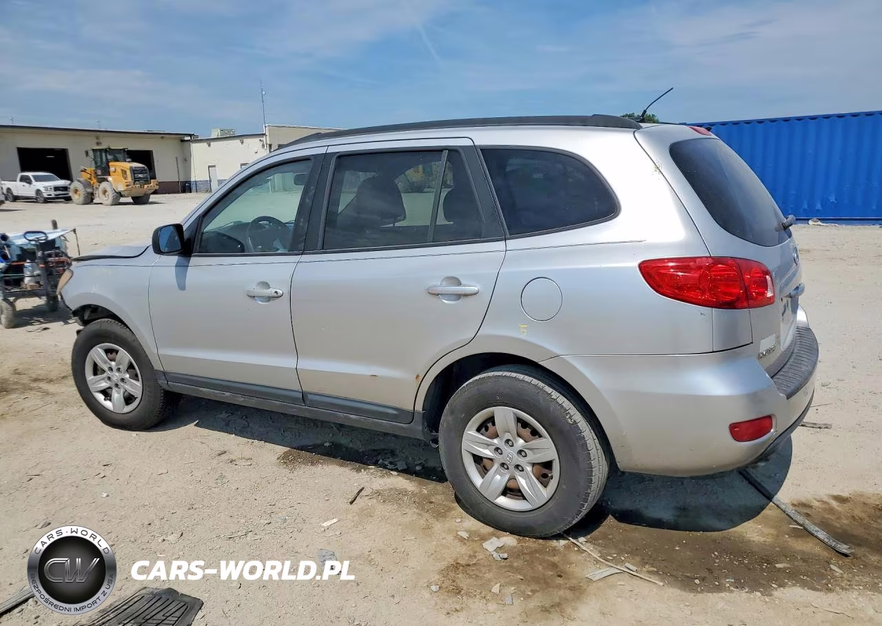 2009 Hyundai Santa Fe Gls VIN:5NMSG13D59H239775 - 2