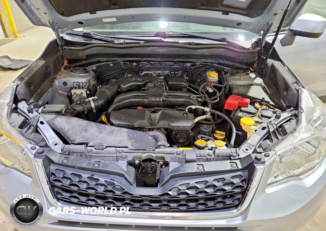 2016 Subaru Forester 2.5I Premium VIN:JF2SJADC5GH452913 - 11