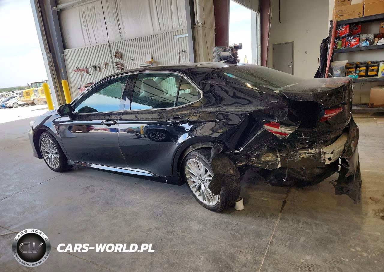 2019 Toyota Camry Xle VIN:4T1B11HK4KU787009 - 2