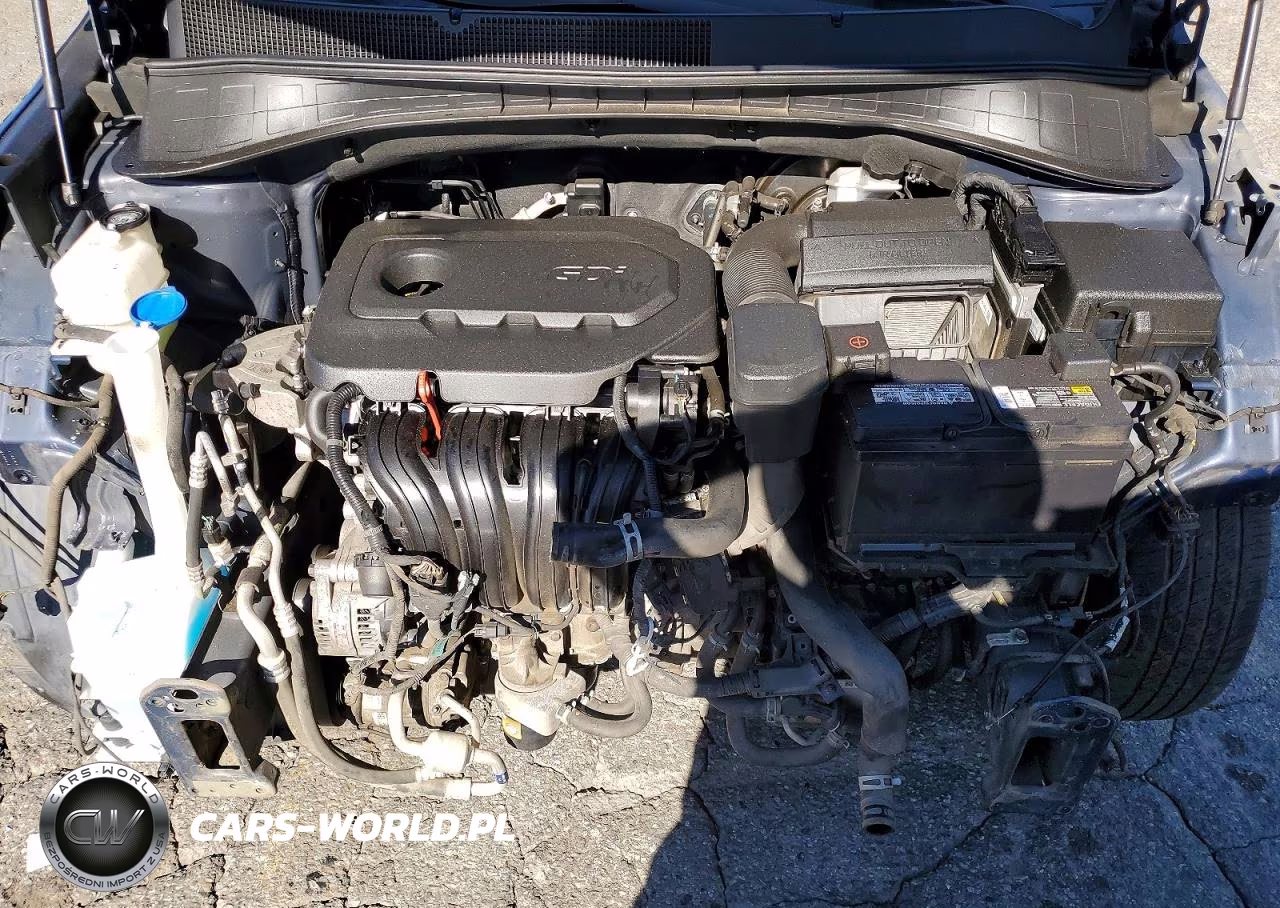 2019 Kia Sorento Lx VIN:5XYPG4A37KG459033 - 12