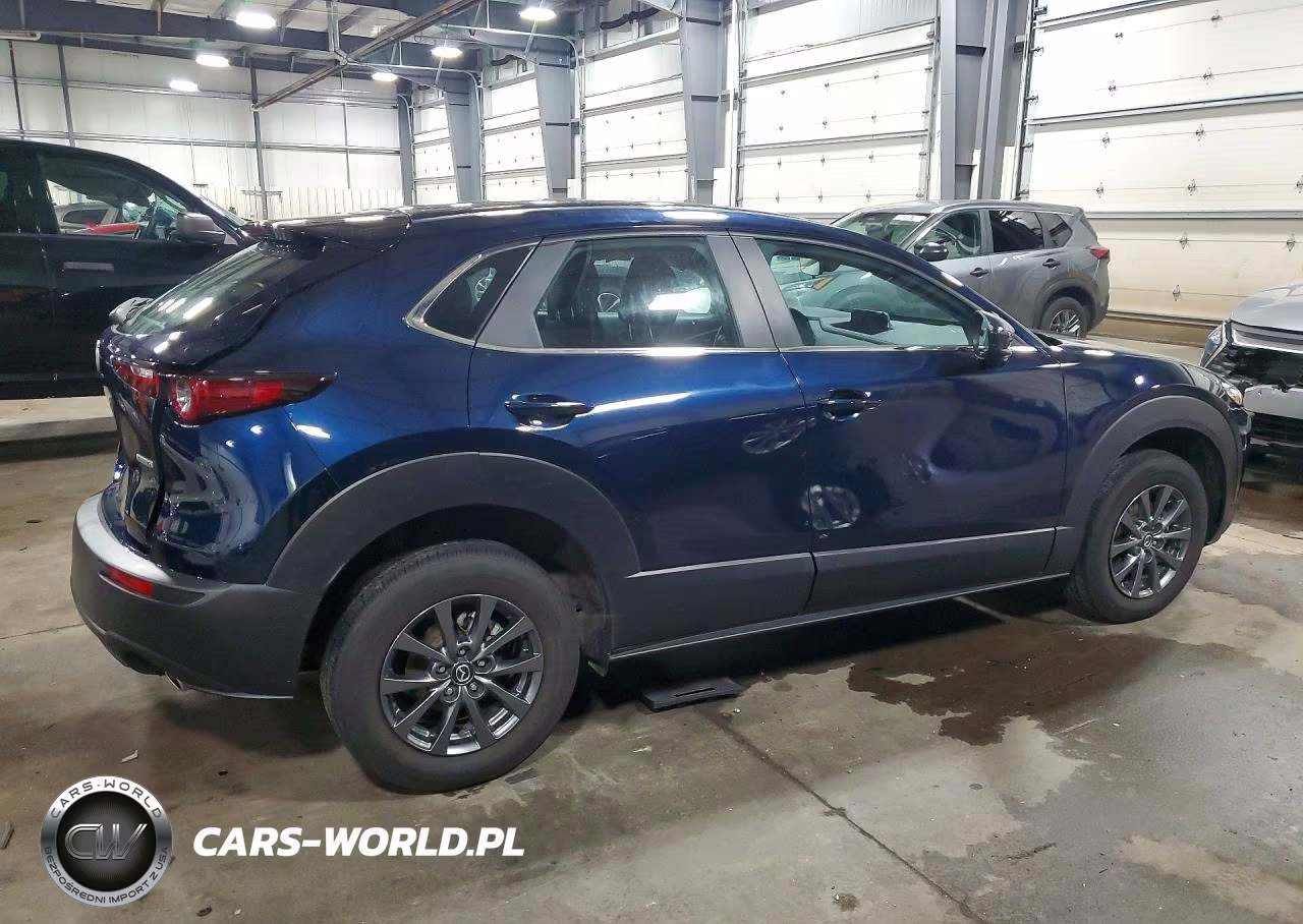 2021 Mazda Cx-30 VIN:3MVDMBAL1MM303459 - 3
