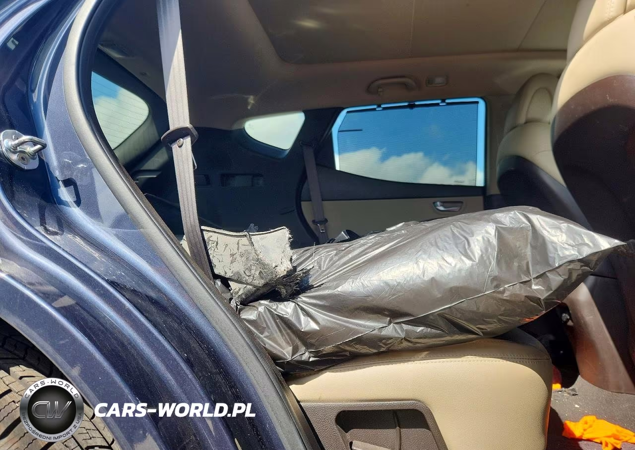 2017 Hyundai Santa Fe Sport 2.0T Ultimate VIN:5NMZW4LAXHH046142 - 11